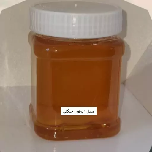 عسل زیرفون جنگلی نیم کیلویی خرید مستقیم از زنبوردار — تصویر ۲