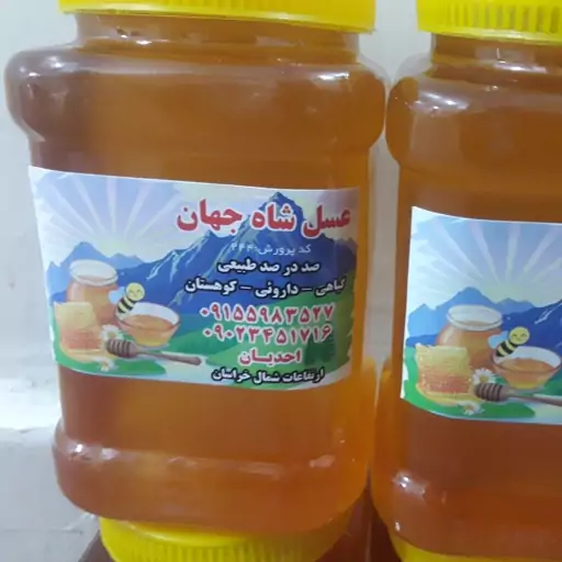 عسل بهاره کوهستان عسل اویشن و امسالی (یک کیلویی) عسل ارتفاعات شمال خراسان با کیفیت و عیار بالا — تصویر ۲