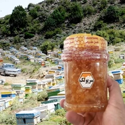 عسل سرپولک1کیلویی ممتاز(ارسال رایگان به شهرستان فریدن) — تصویر ۳