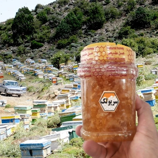 عسل سرپولک1کیلویی ممتاز(ارسال رایگان به شهرستان فریدن)