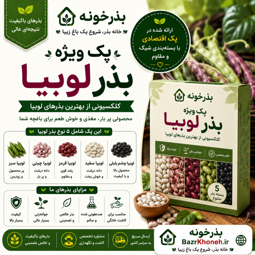 پک ویژه بذر لوبیا — تصویر ۲