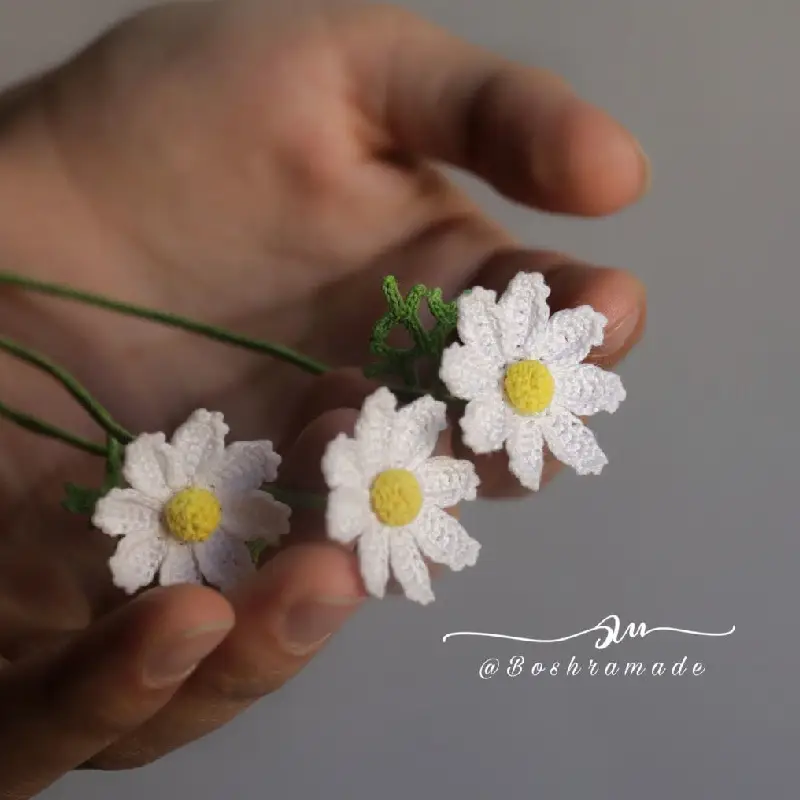 شاخه گل گلدانی بابونه (گل ستاره ای) کد8877 — تصویر ۵