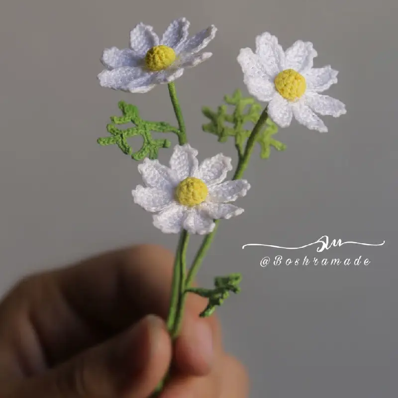 شاخه گل گلدانی بابونه (گل ستاره ای) کد8877 — تصویر ۴