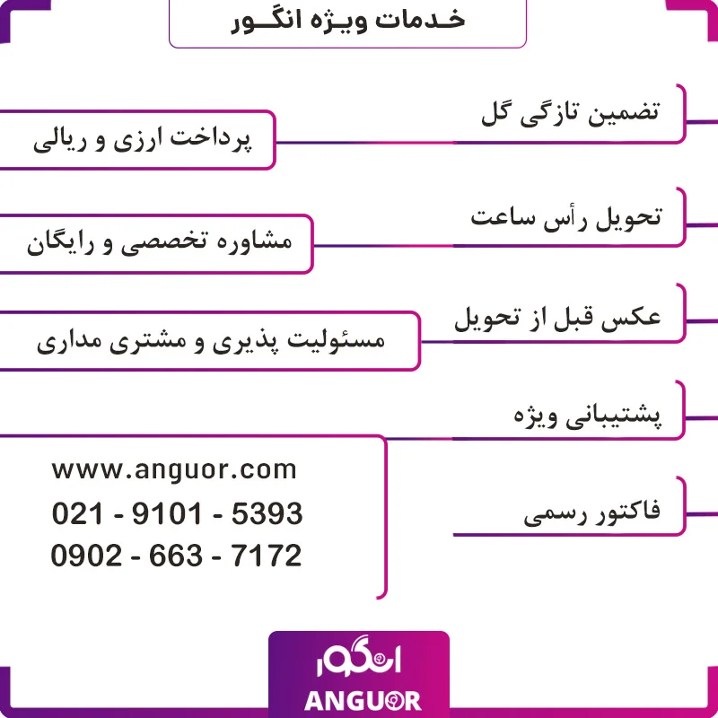 تاج گل رنگین — تصویر ۴