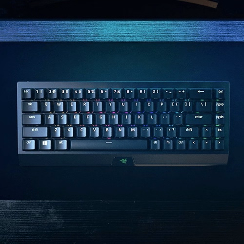 کیبورد گیمینگ ریزر Razer Blackwidow V3 Mini