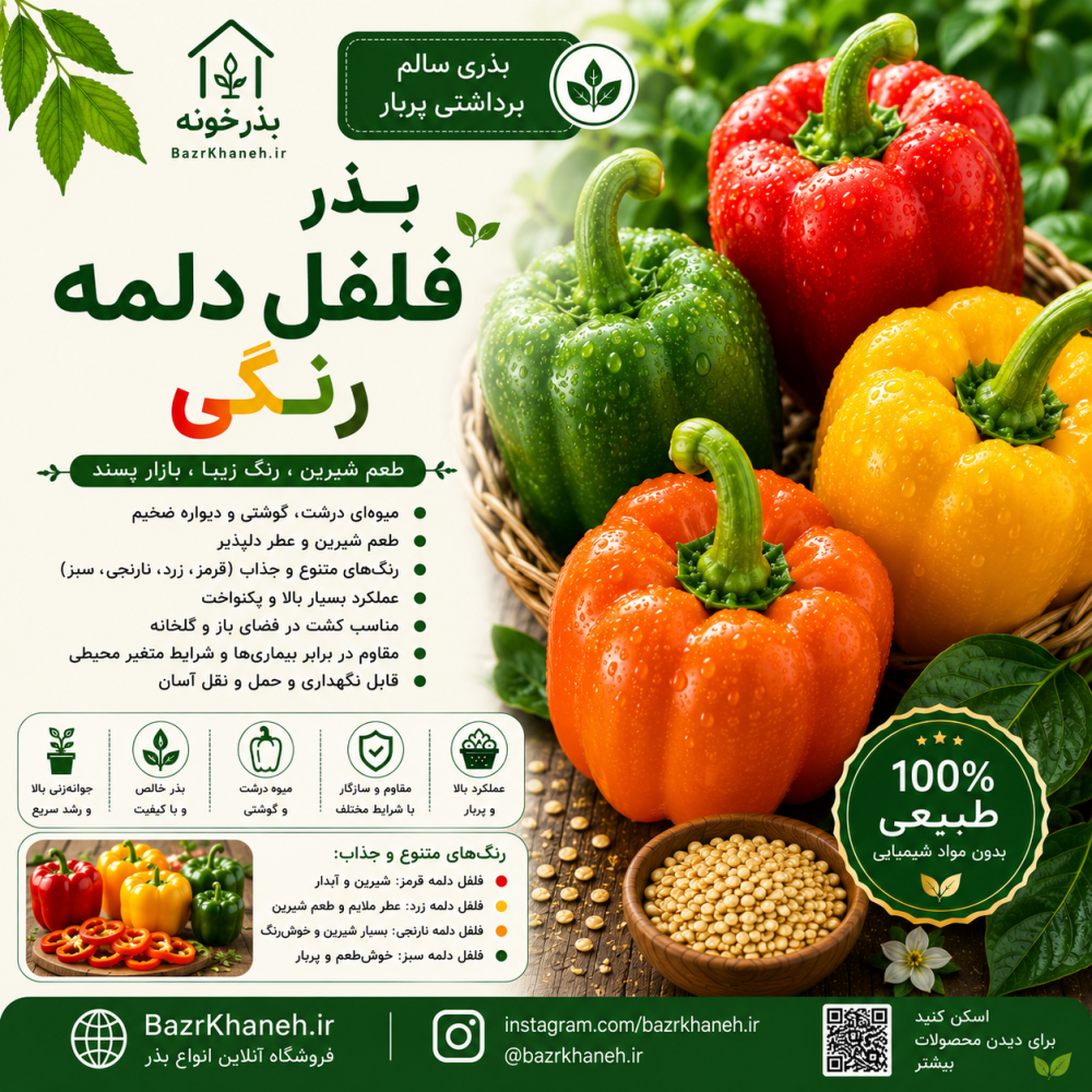 بذرفلفل دلمه رنگی — تصویر ۲