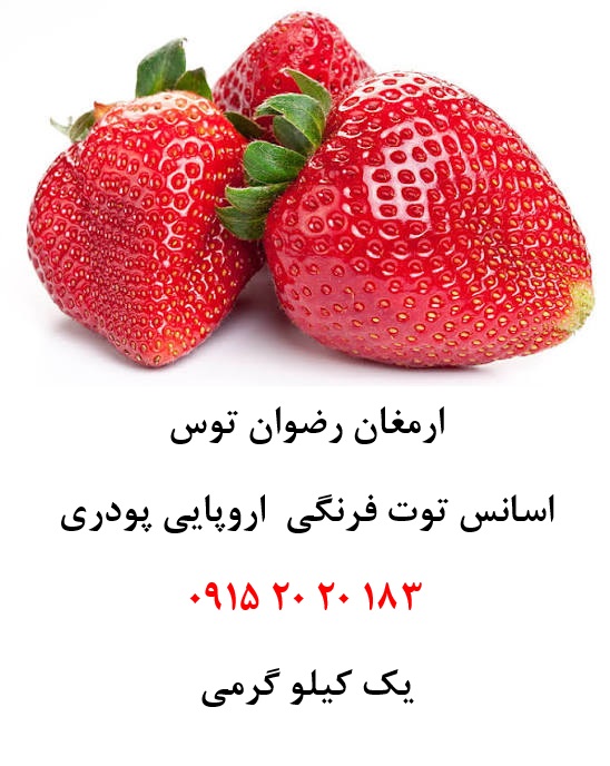 اسانس توت فرنگی اروپایی — تصویر ۲