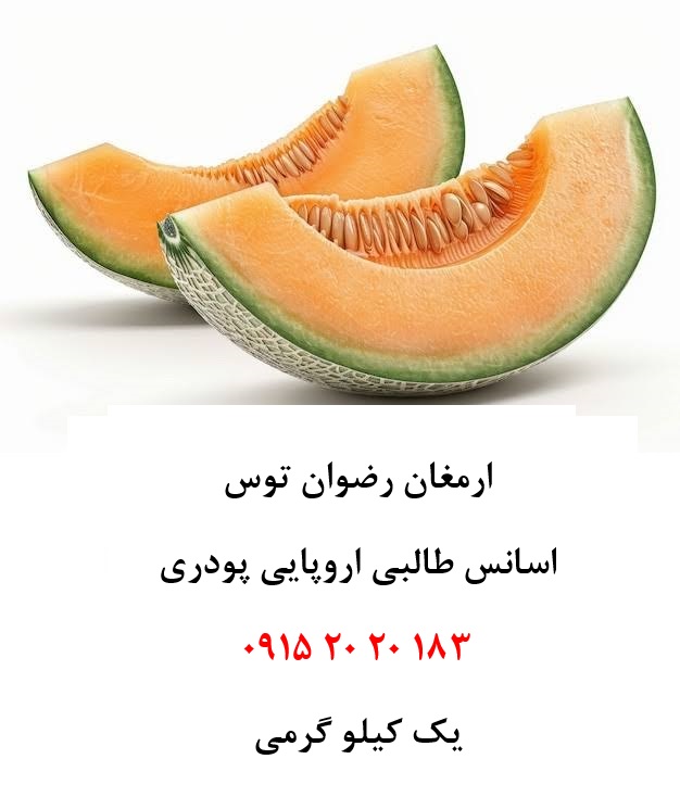 اسانس طالبی اروپایی خوراکی — تصویر ۲