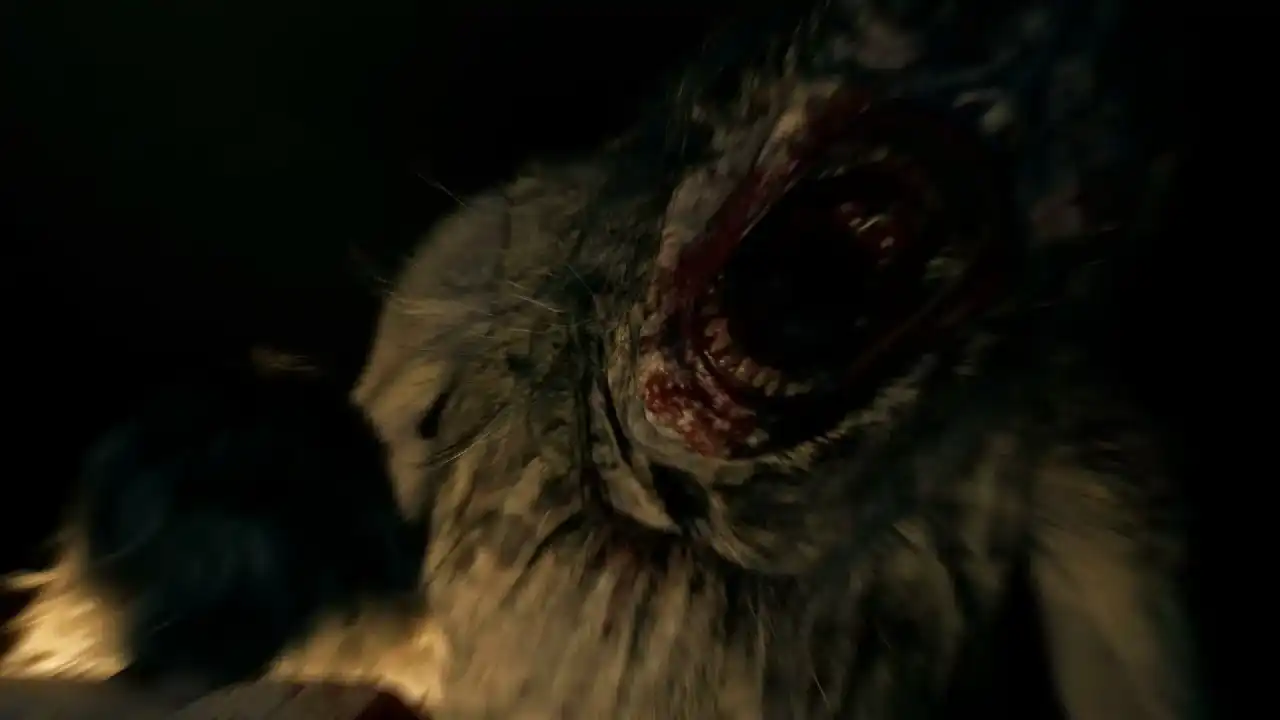 بازی Resident Evil Requiem Generation Pack برای Nintendo Switch 2 — تصویر ۳