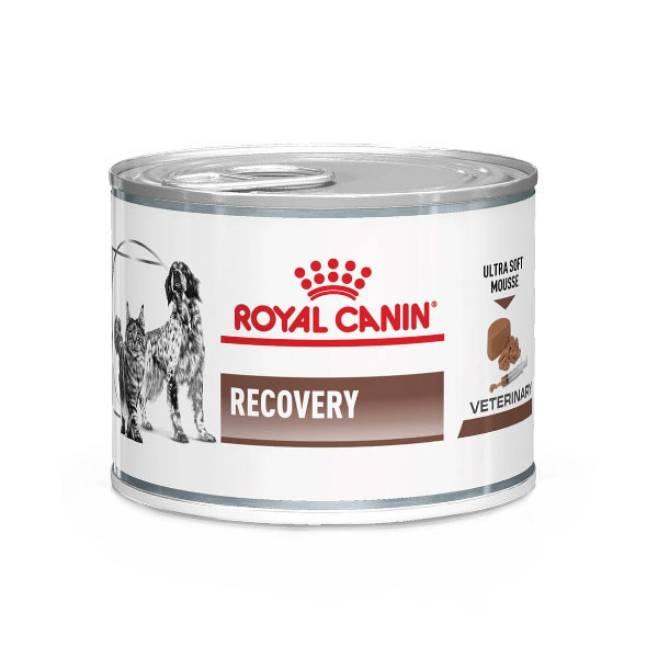 کنسرو ریکاوری سگ و گربه رویال کنین Recovery Wet
