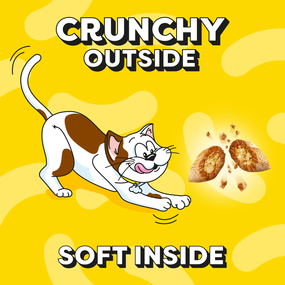 تشویقی گربه دریمیز با طعم ماهی سالمون و پنیر Dreamies Cat Snack with Cheese & Salmon وزن 60 گرم — تصویر ۳
