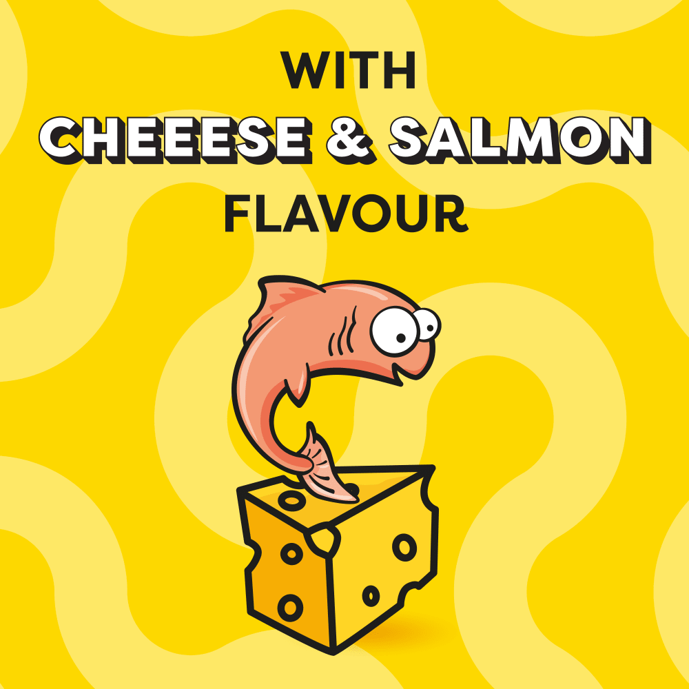 تشویقی گربه دریمیز با طعم ماهی سالمون و پنیر Dreamies Cat Snack with Cheese & Salmon وزن 60 گرم — تصویر ۴