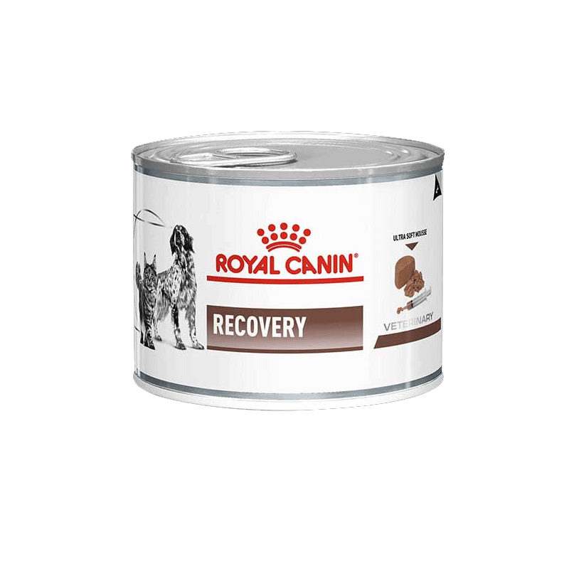 کنسرو غذای سگ و گربه ریکاوری رویال کنین Royal Canin Recovery Mousse Can وزن ۱۹۵ گرم