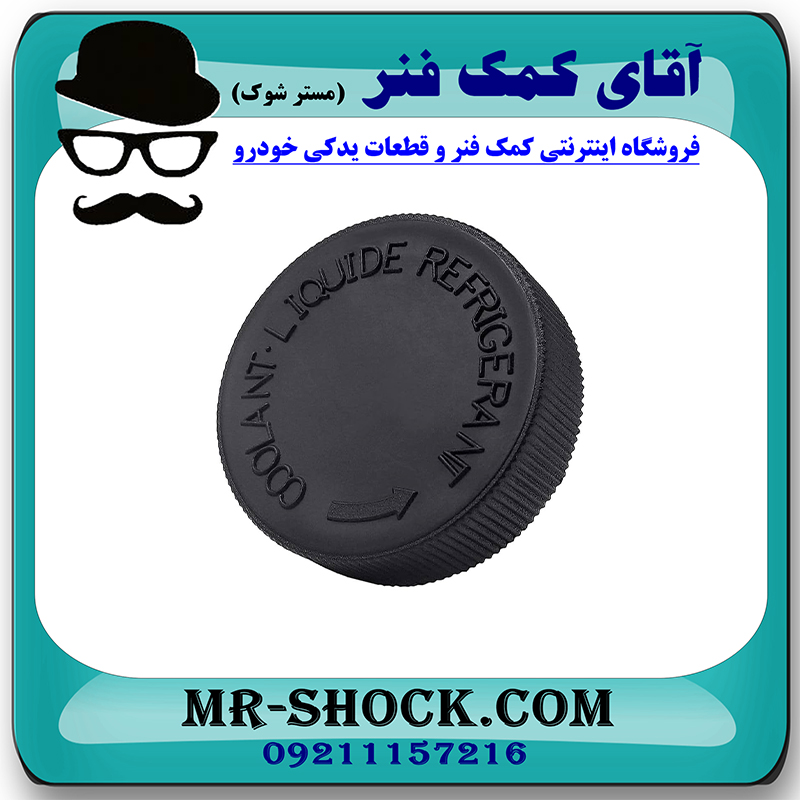 درب منبع انبساط نیسان مورانو 2010-2013 برند اصلی جنیون پارتس با تضمین اصالت — تصویر ۳
