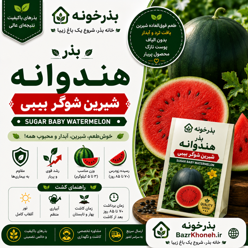 بذر هندوانه شیرین شوگر بیبی — تصویر ۲