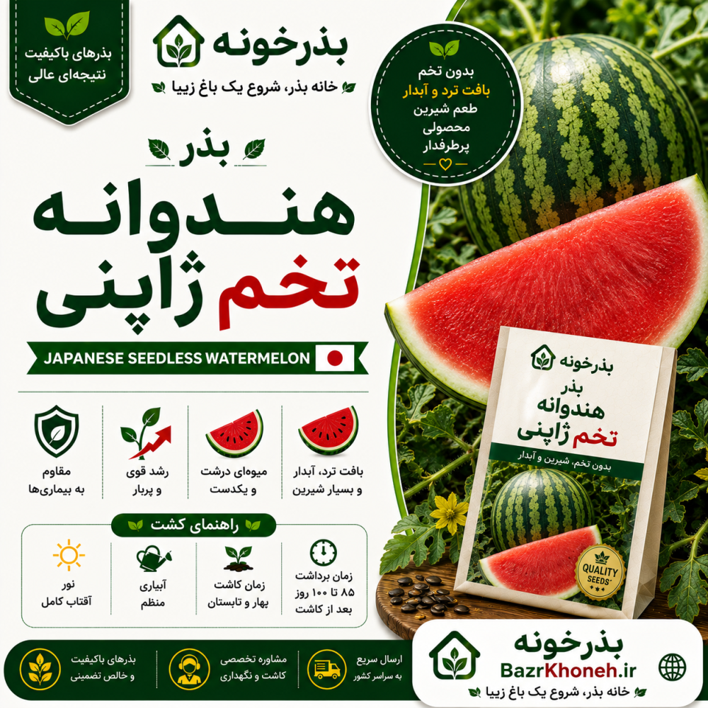 بذر هنداونه تخم ژاپنی — تصویر ۲