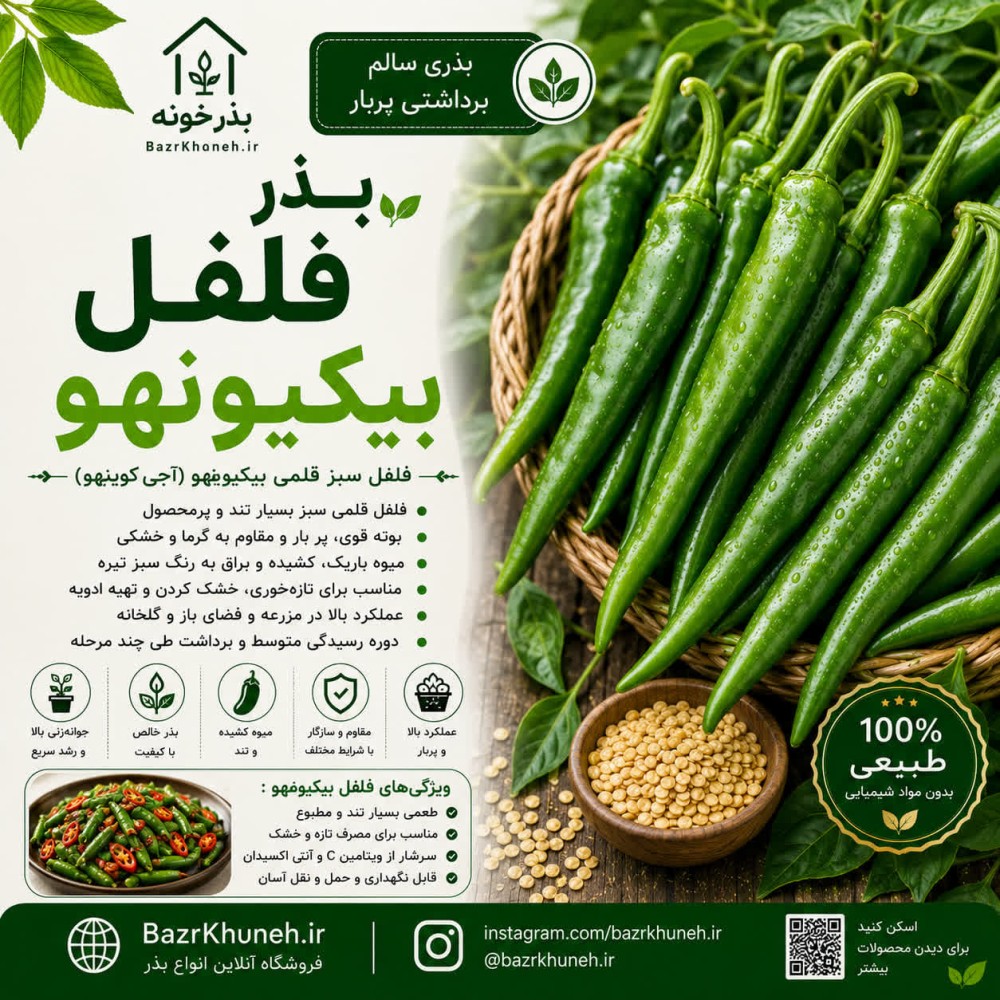 بذر فلفل بیکیونهو — تصویر ۲