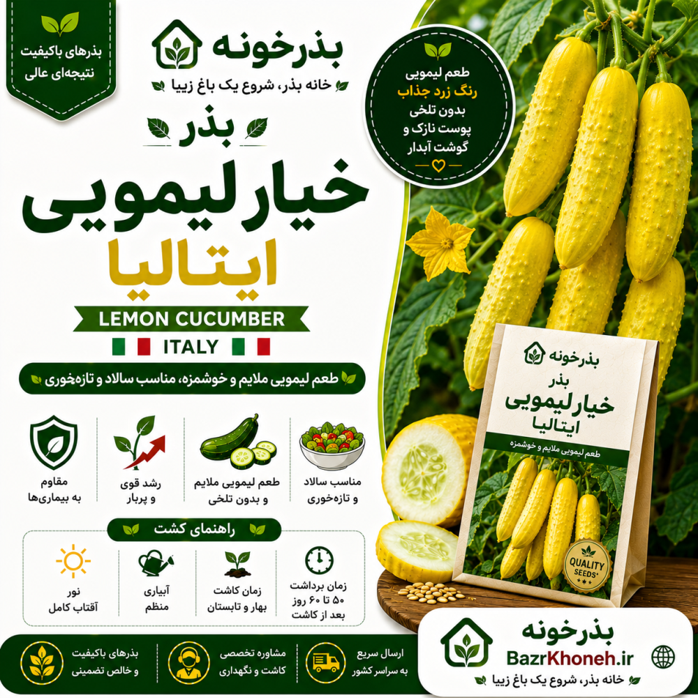 بذر خیار لیمویی ایتالیا — تصویر ۲