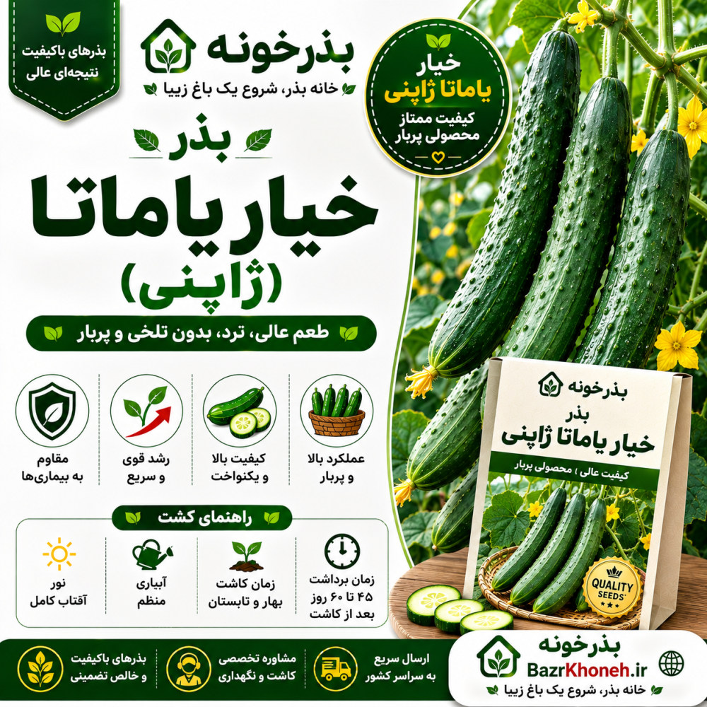 بذر خیار یاماتا ژاپنی