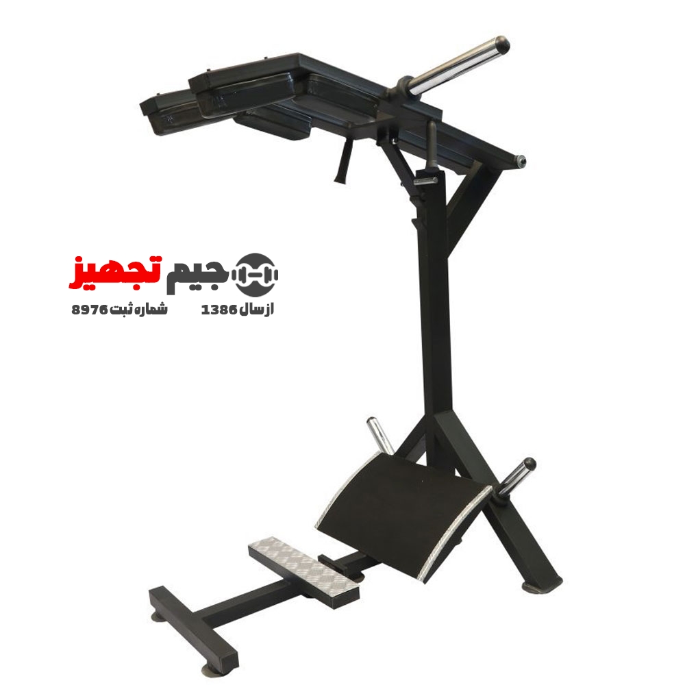 دستگاه هاگ و ساق وزنه آزاد الموت F20