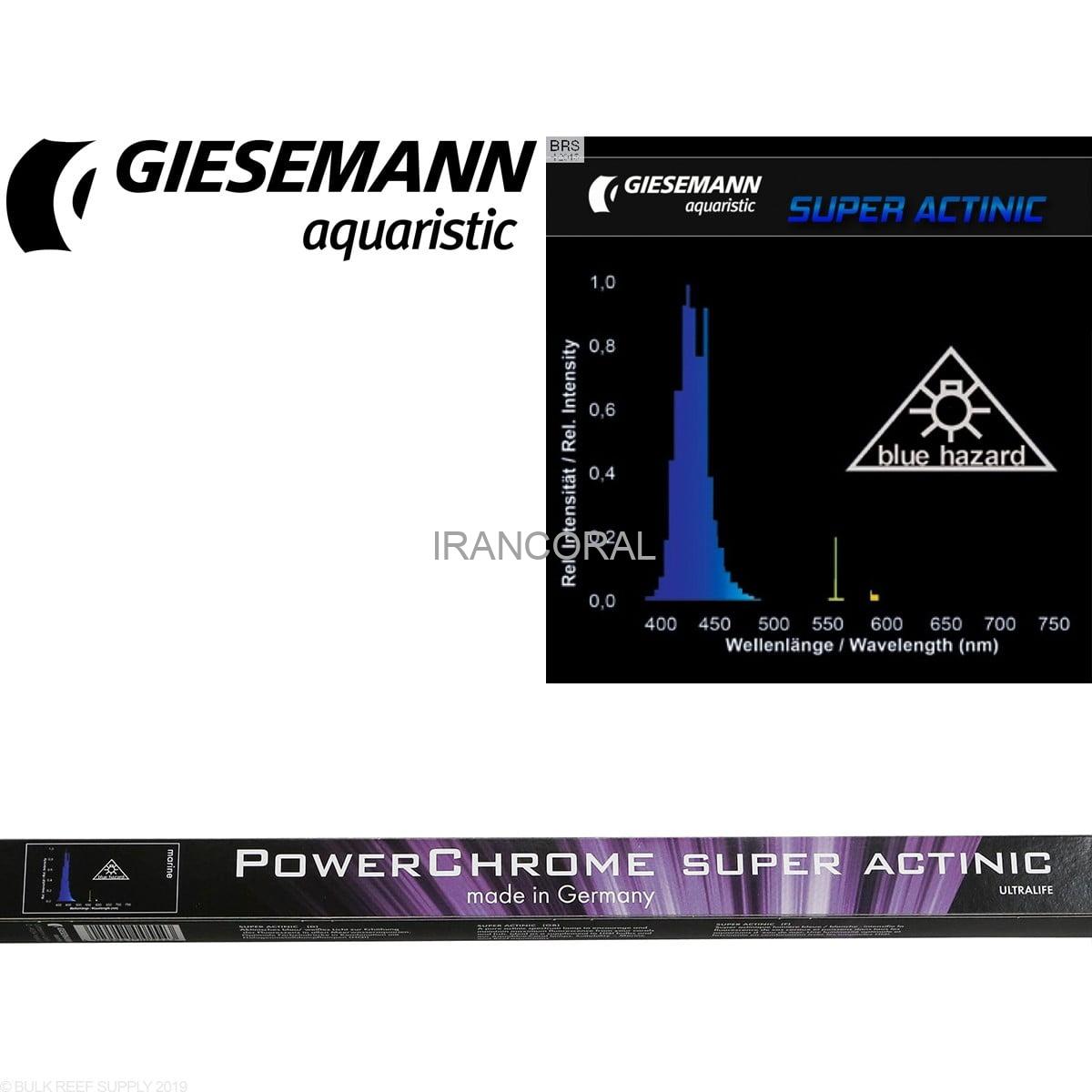 لامپ T5 Super Actinic — تصویر ۵