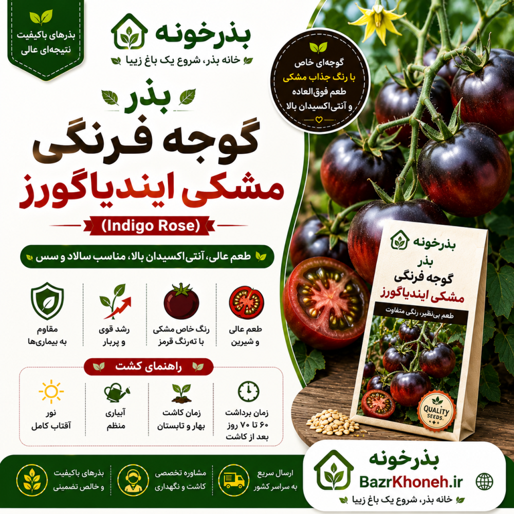 بذر گوجه فرنگی مشکی ایندیاگو رز 10عددی