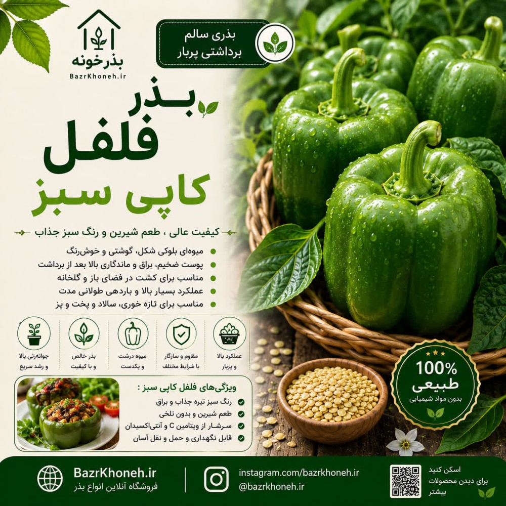 بذر فلفل کاپی سبز — تصویر ۲