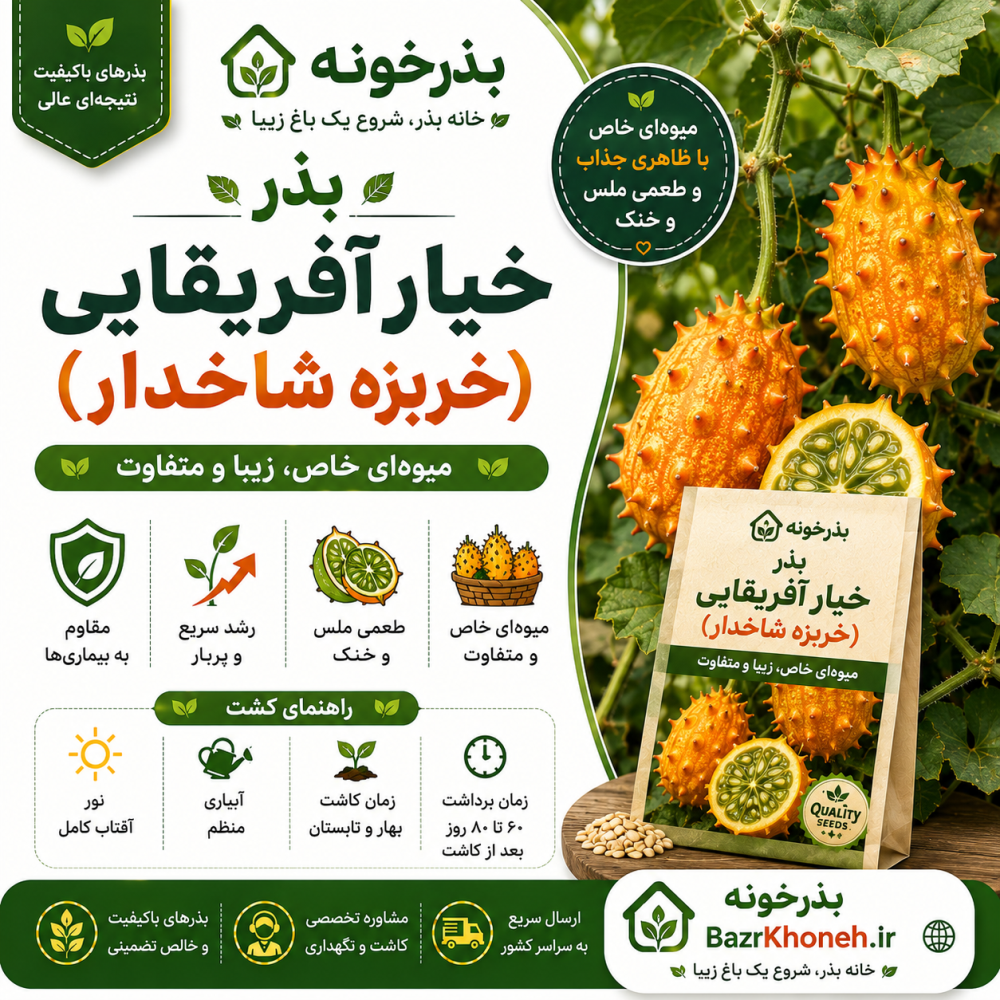 بذر خیار آفریقایی (خربزه شاخدار) — تصویر ۲