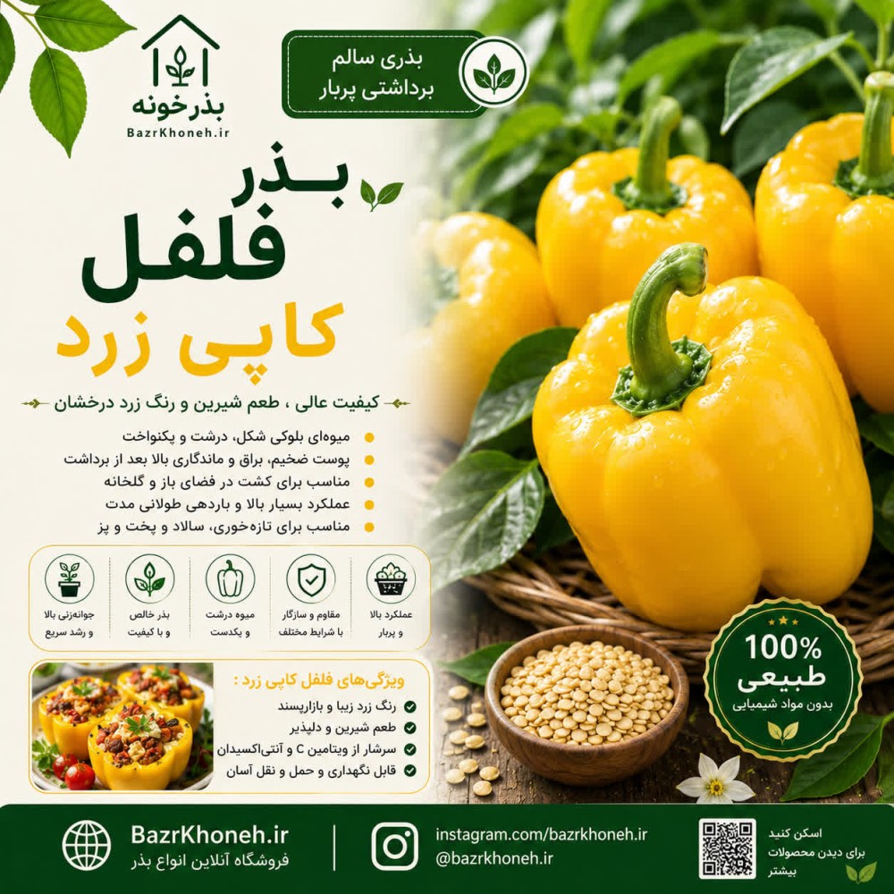 بذر فلفل کاپی زرد — تصویر ۲