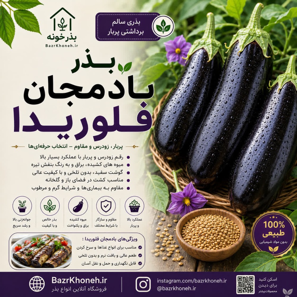 بذر بادمجان فلوریدا — تصویر ۲