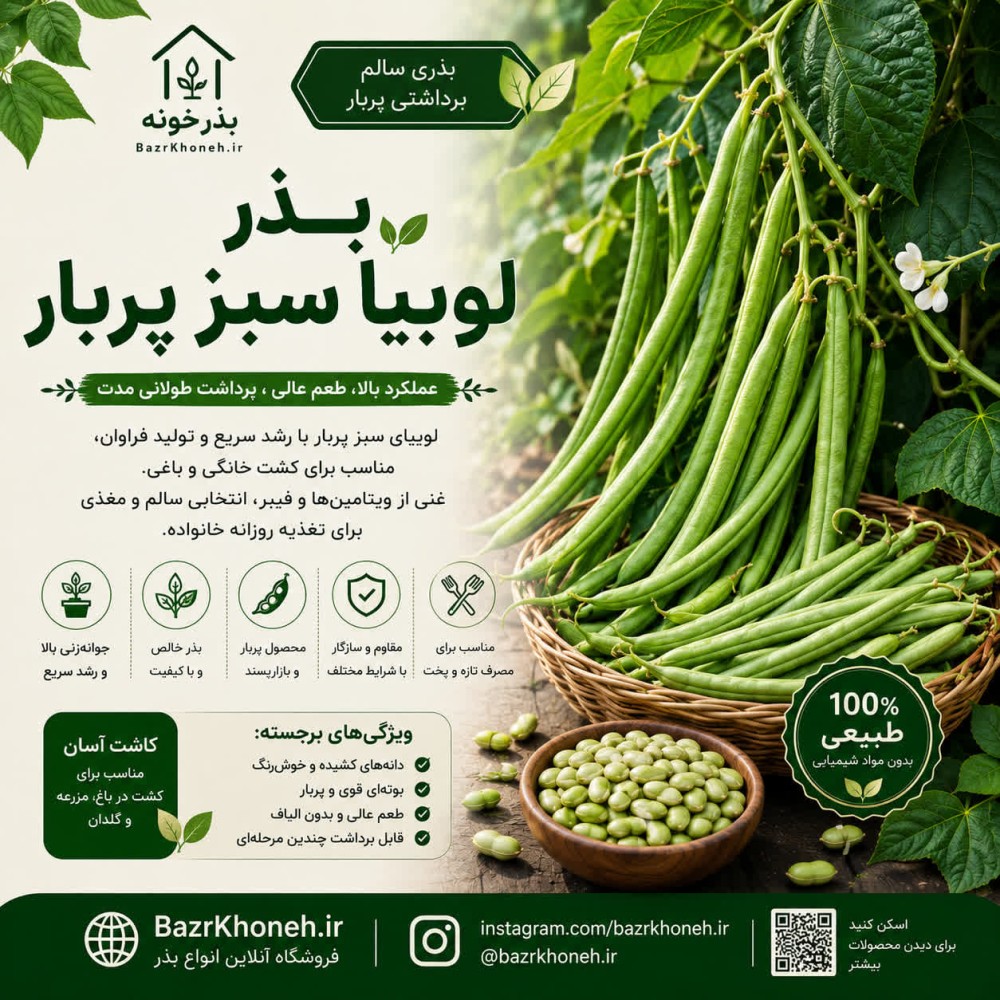 بذر لوبیا سبز پربار — تصویر ۲