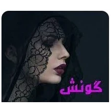 رمان گونش جلد 1و2 | دانلود | کتاب خوان