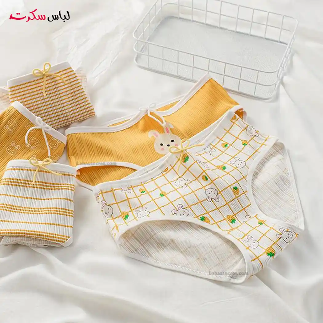 شورت فانتزی بسته 3 عددی Ls8634 — تصویر ۳