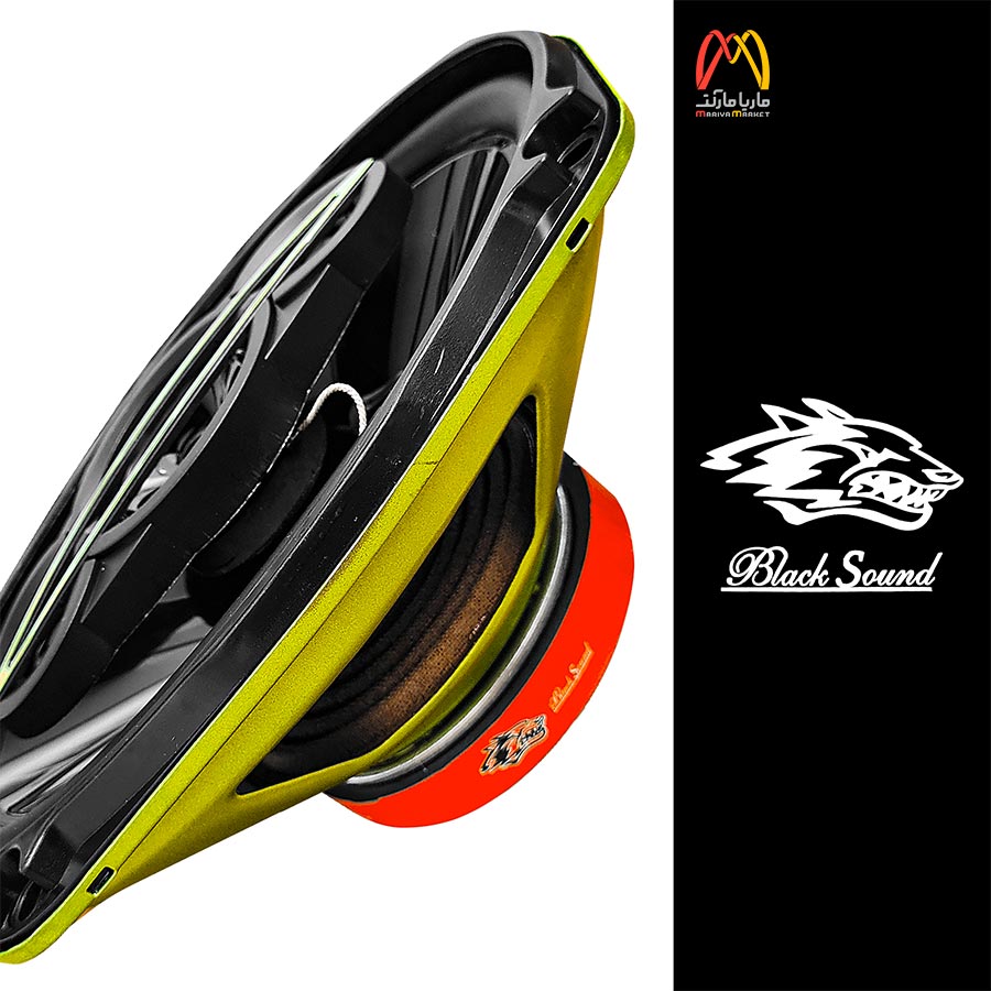 بلندگو بیضی بلک ساند مدل BL-698