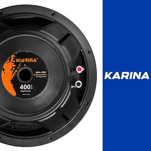 ساب ووفر 12 اینچ کارینا مدل SKA-1206 — تصویر ۲