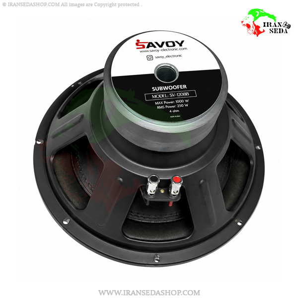 ساب ووفر ساووی مدل SAVOY SV-1208B سایز 12 قدرت 250RMS بسته یک عددی — تصویر ۳