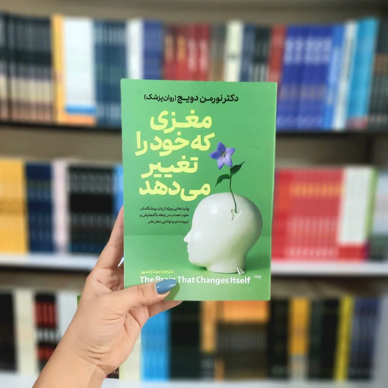 کتاب مغزی که خود را تغییر می دهد