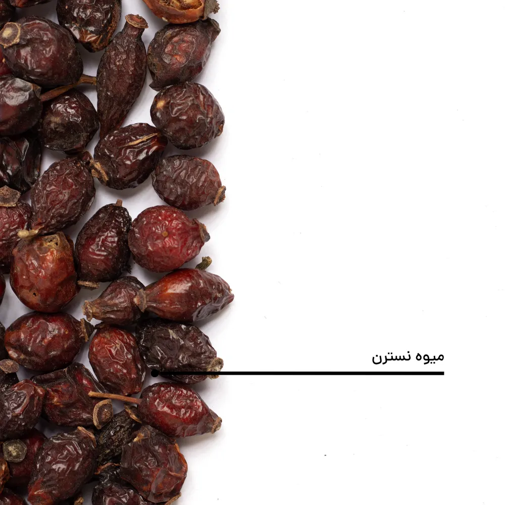 گیاه میوه نسترن خشک — تصویر ۶