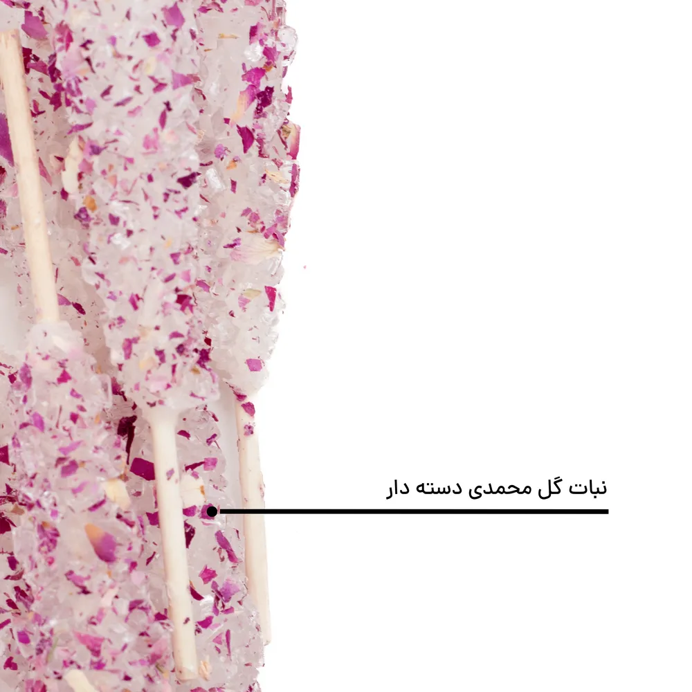 نبات گل محمدی دسته دار — تصویر ۵
