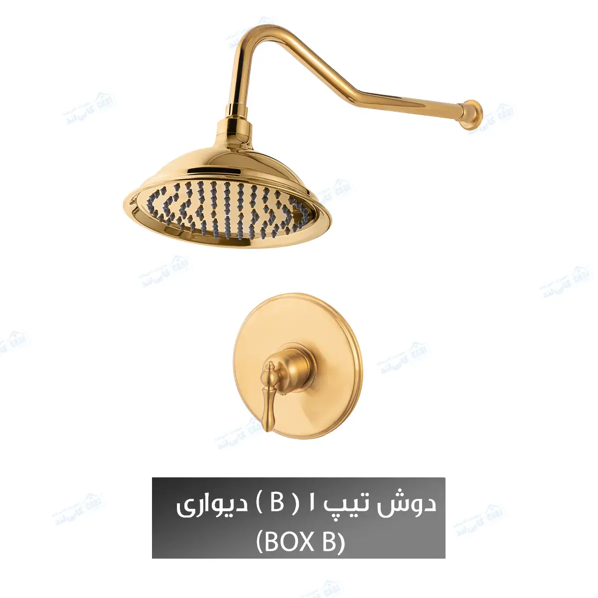 دوش توکار شیذر مدل آترینا تیپ ۱ (B) با سردوش دیواری