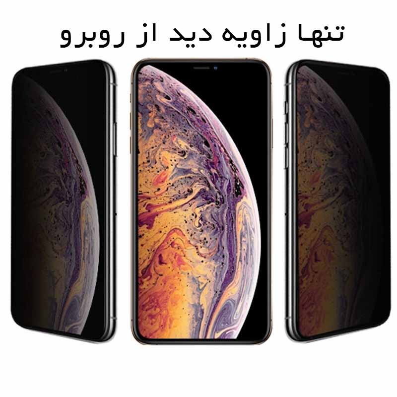 گلس حریم شخصی تمام صفحه اپل Apple iPhone 11 Pro Max / XS Max Privacy Golden Armor — تصویر ۳